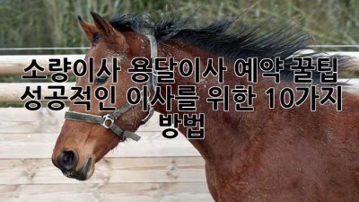 소량이사🚚 용달이사 예약 꿀팁🍯: 성공적인 이사를 위한 10가지 방법!